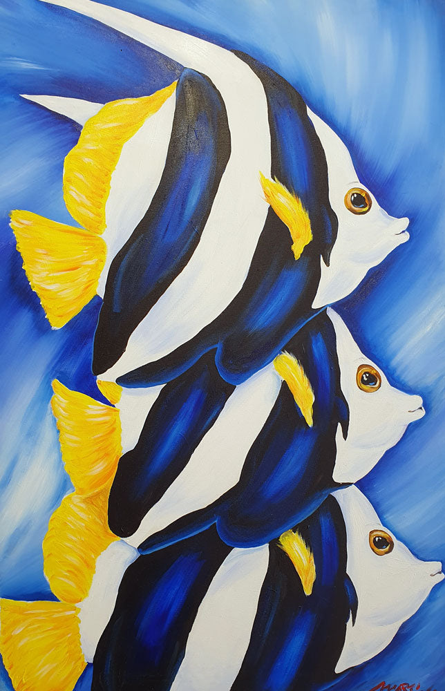 School of fish