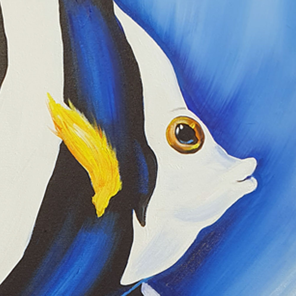 School of fish